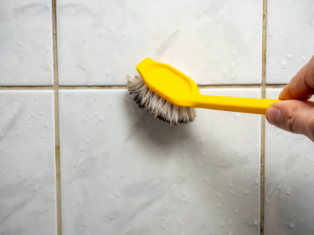 Mold Removal Process in Dalhart, TX